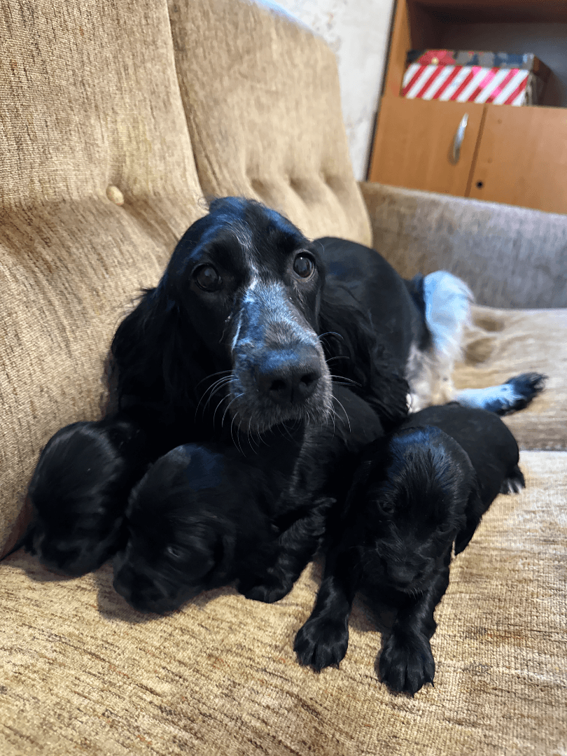 carousel-image-mobile-4