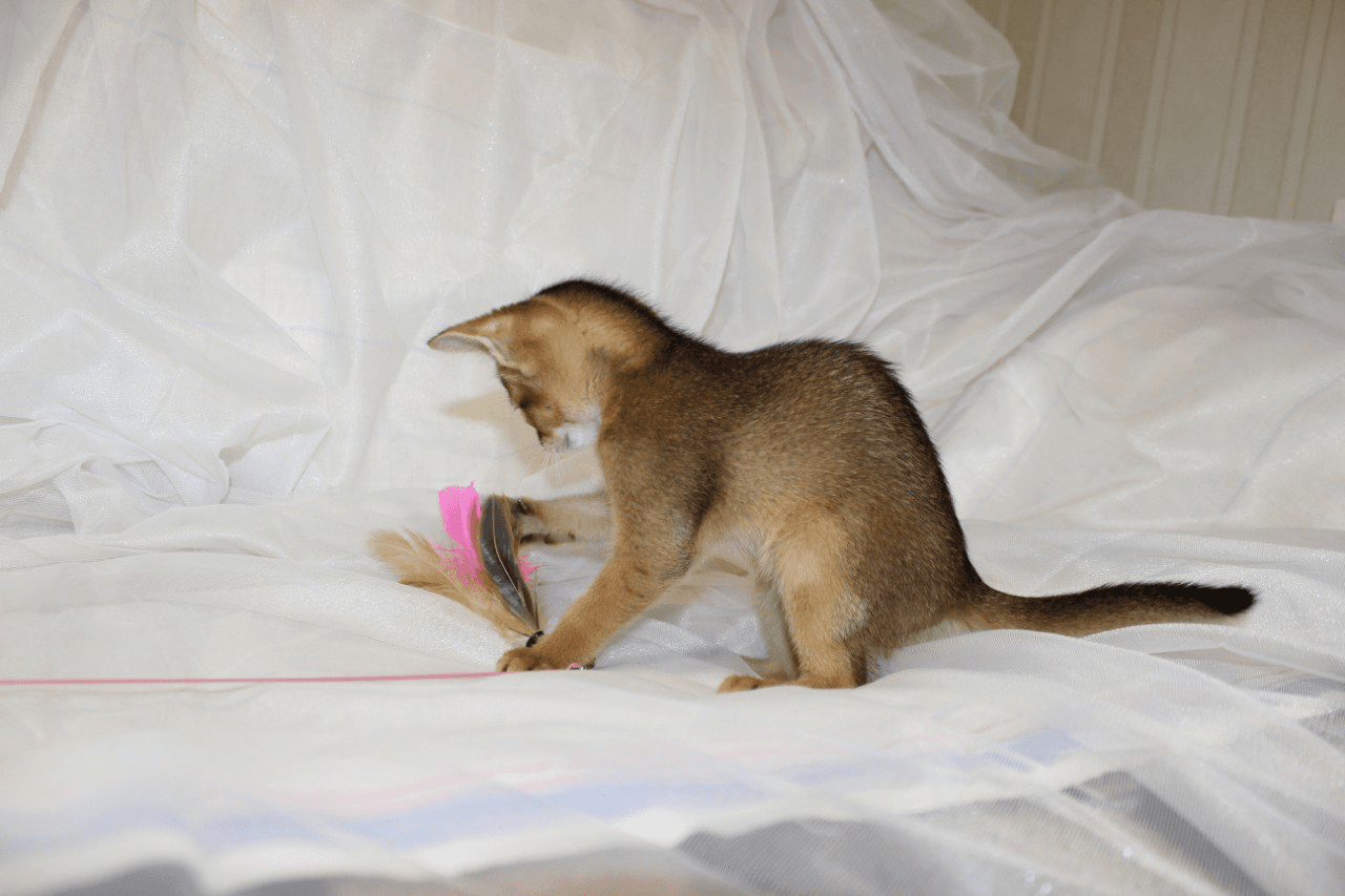 carousel-image-mobile-1