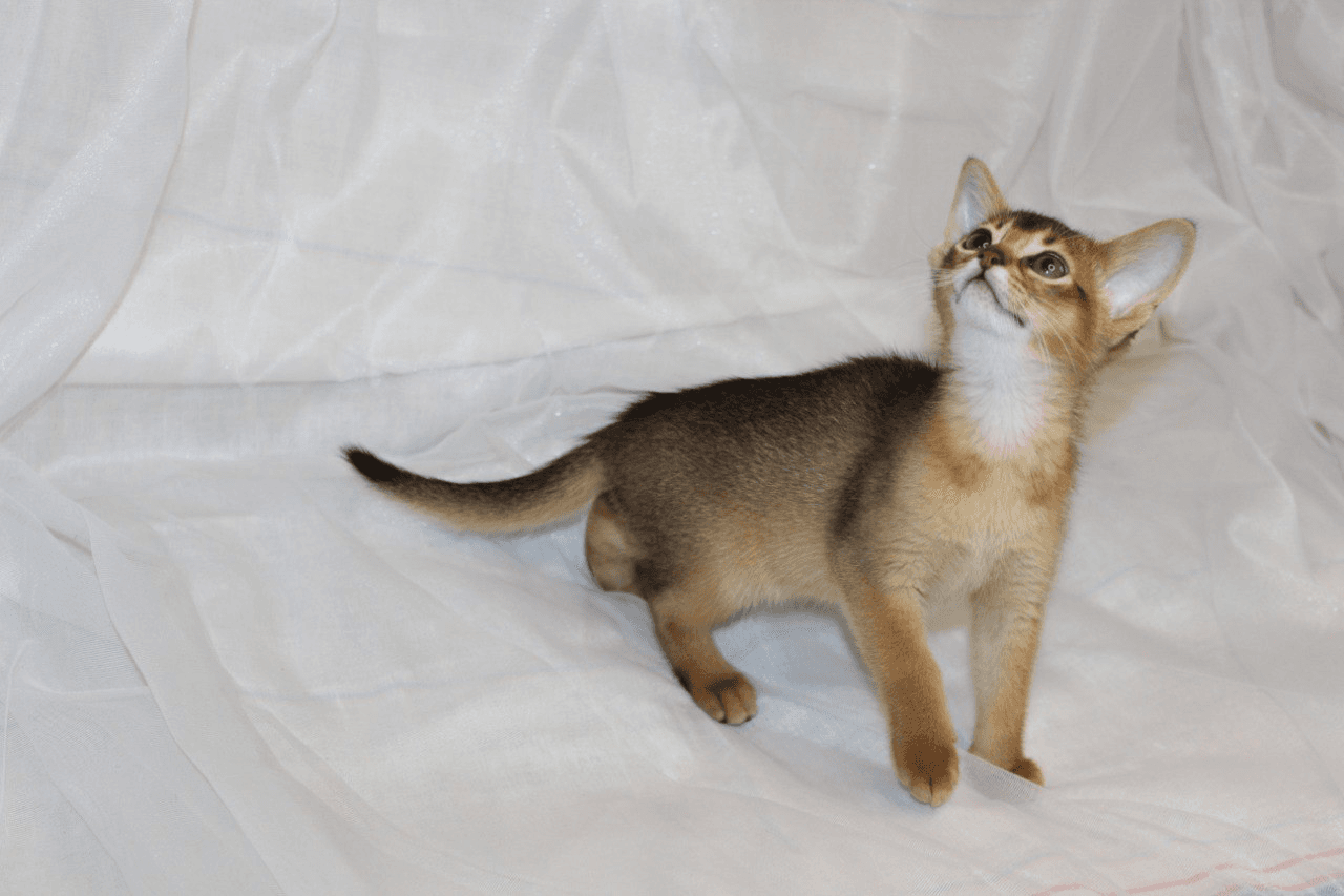 carousel-image-mobile-3