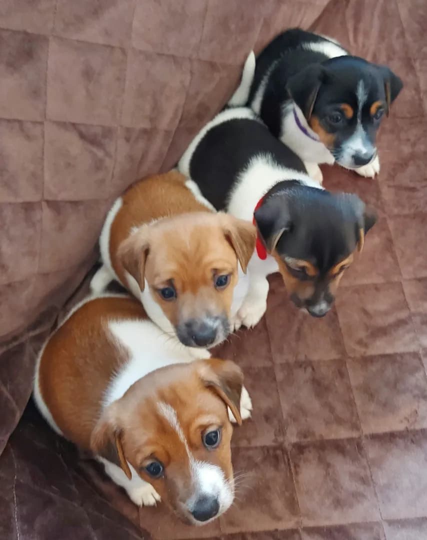 carousel-image-mobile-1