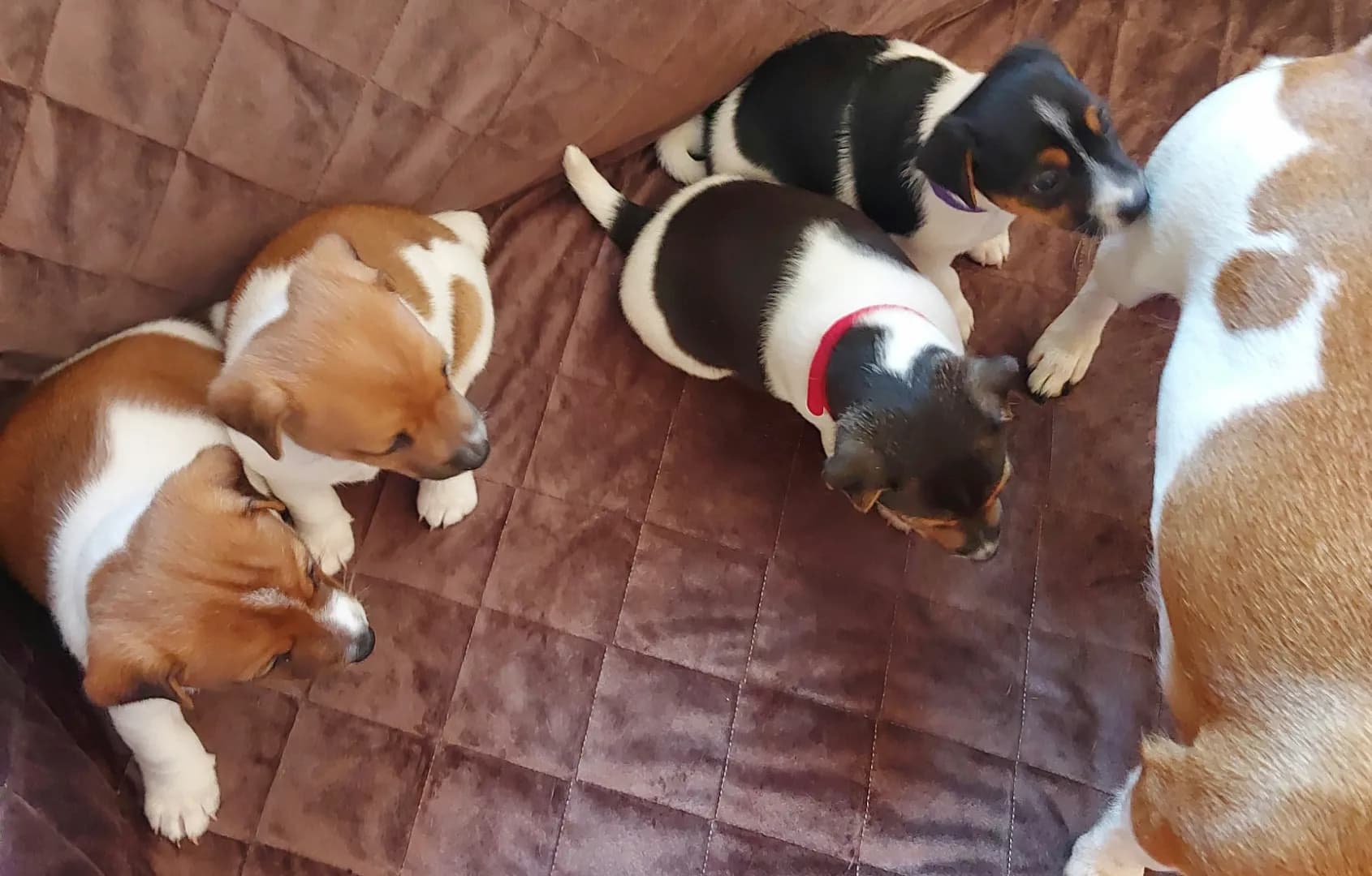 carousel-image-mobile-2