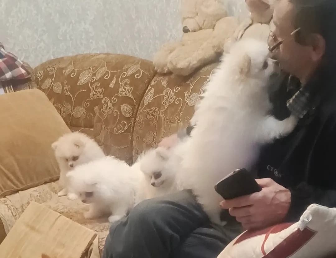 carousel-image-mobile-1