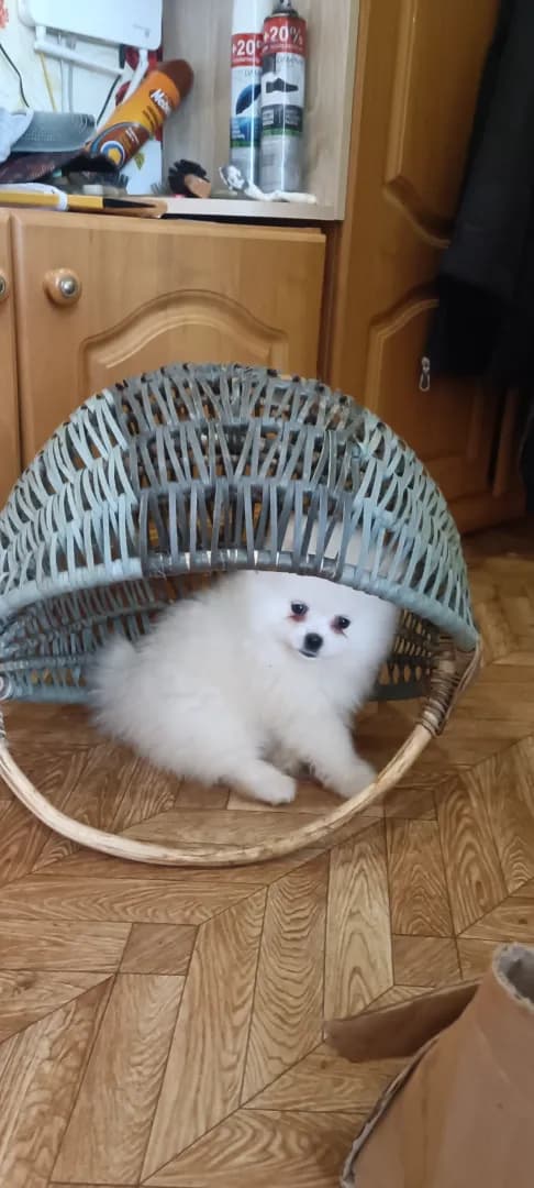 carousel-image-mobile-2