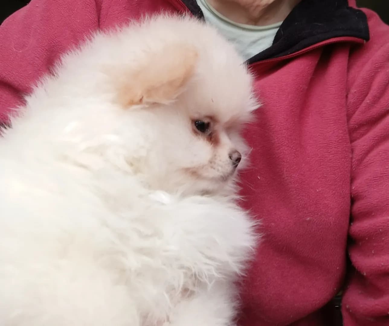 carousel-image-mobile-5