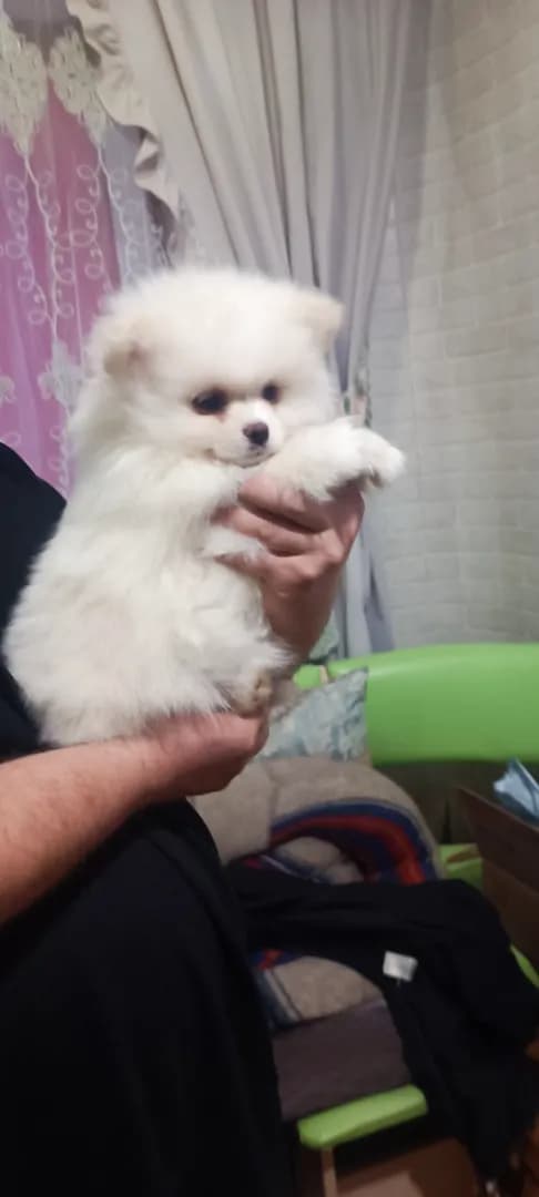 carousel-image-mobile-6