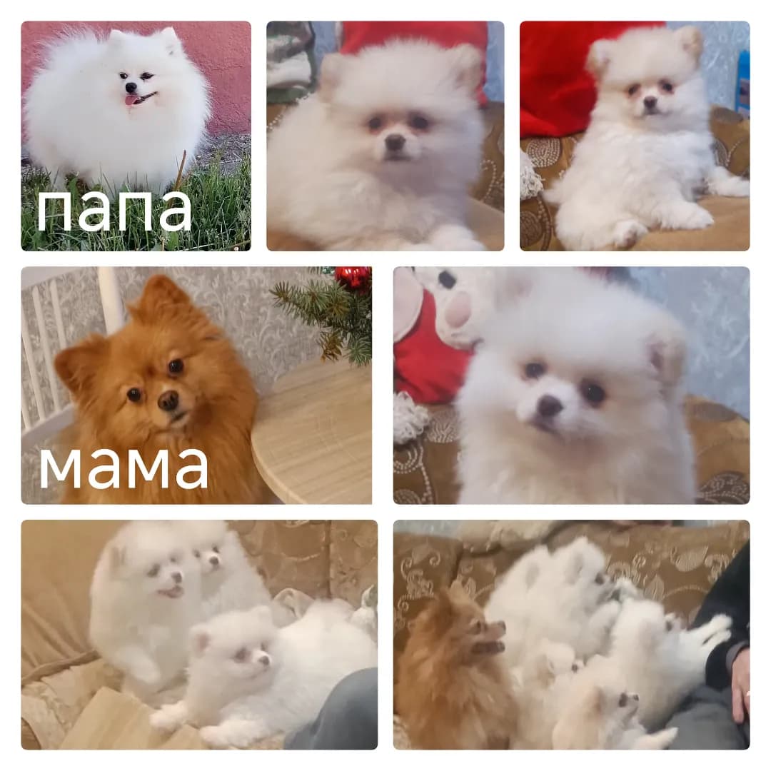 carousel-image-mobile-7