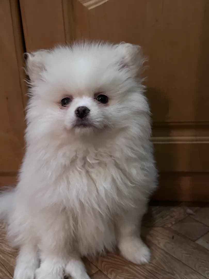 carousel-image-mobile-8