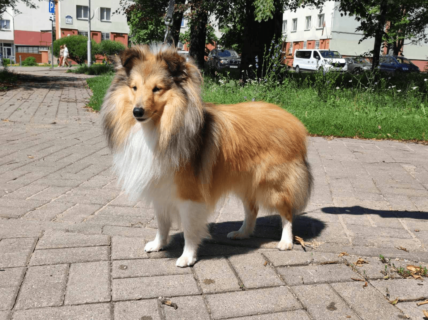 carousel-image-mobile-1