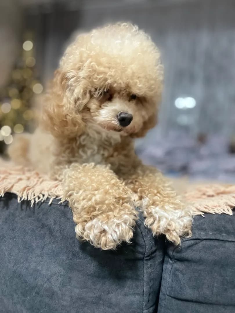 carousel-image-mobile-1