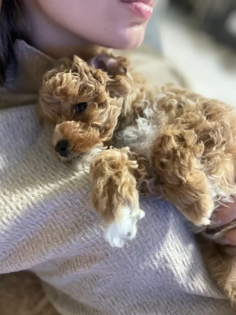 carousel-image-mobile-2