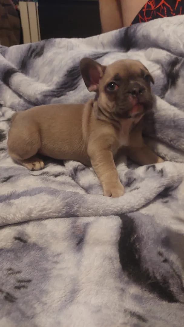 carousel-image-mobile-2