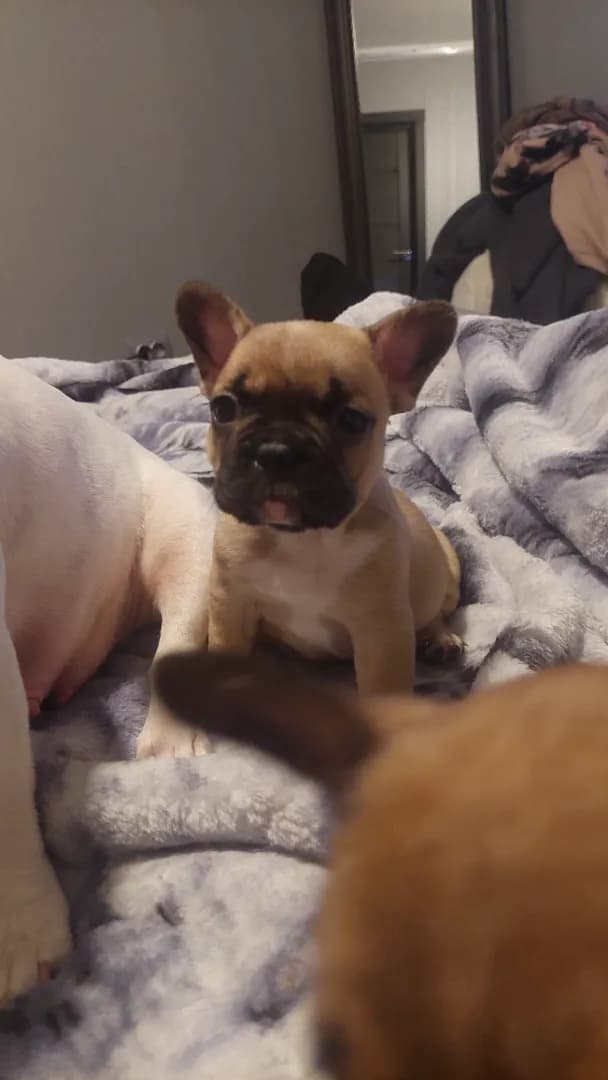 carousel-image-mobile-3