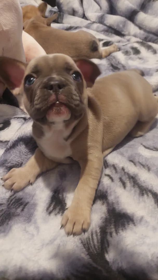 carousel-image-mobile-4