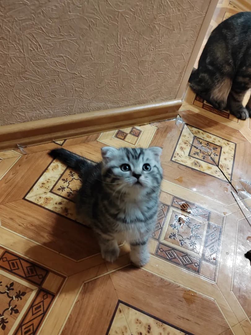 carousel-image-mobile-1