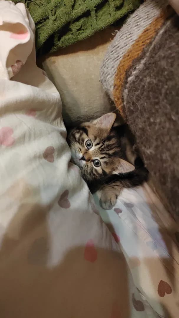 carousel-image-mobile-3