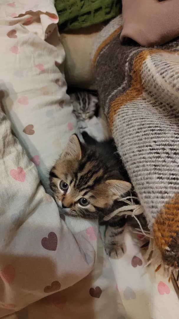 carousel-image-mobile-5