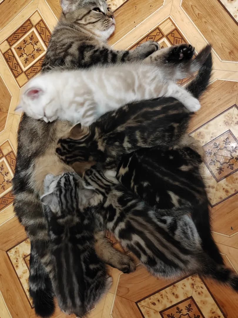 carousel-image-mobile-6