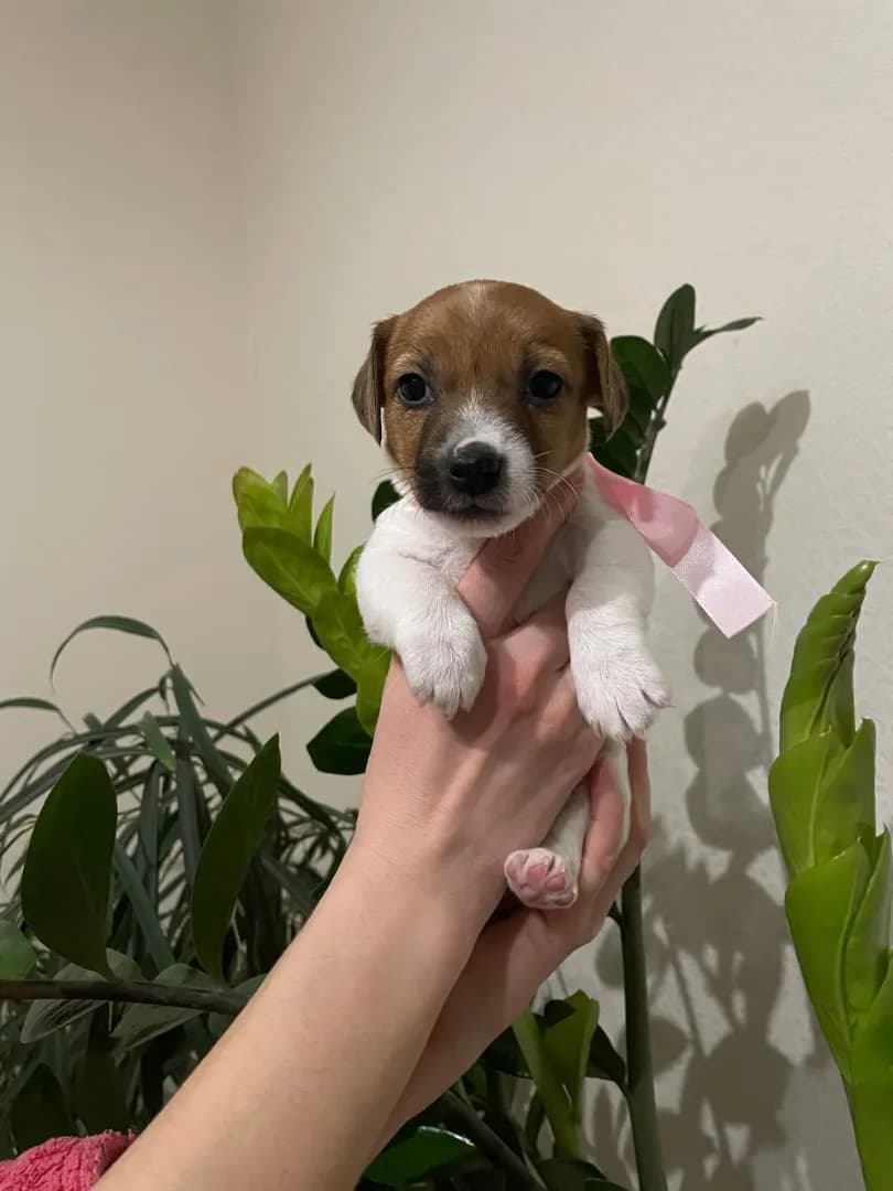 carousel-image-mobile-1