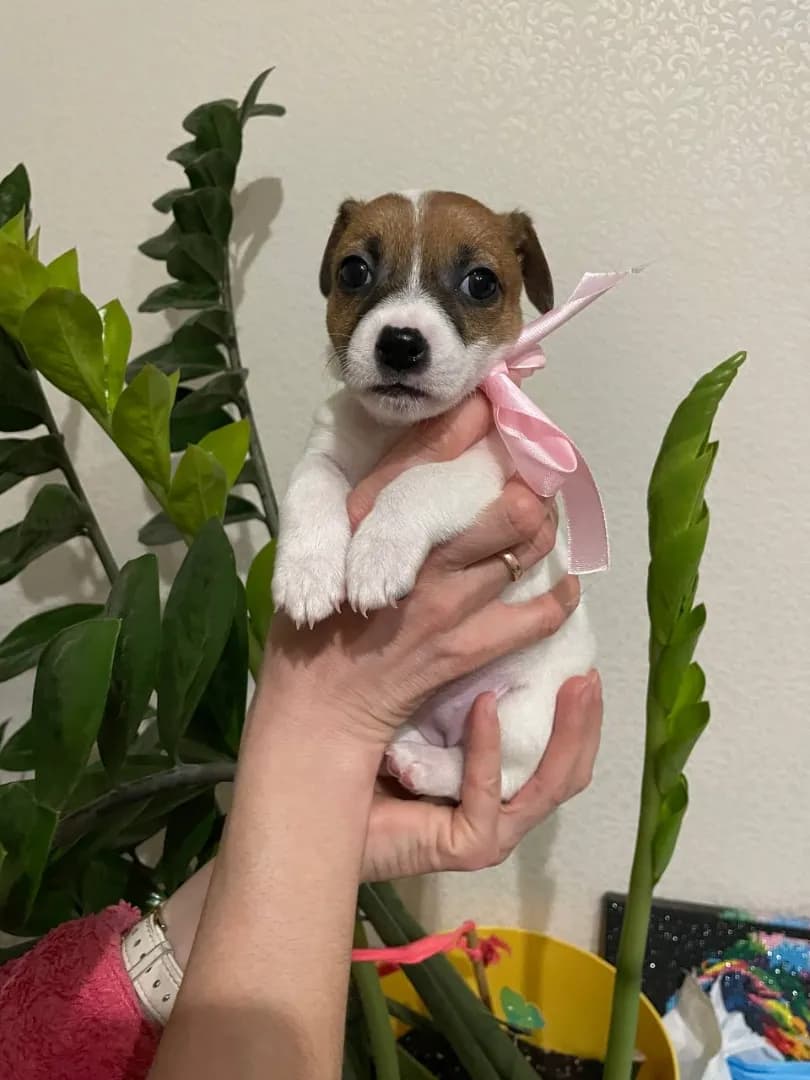 carousel-image-mobile-3