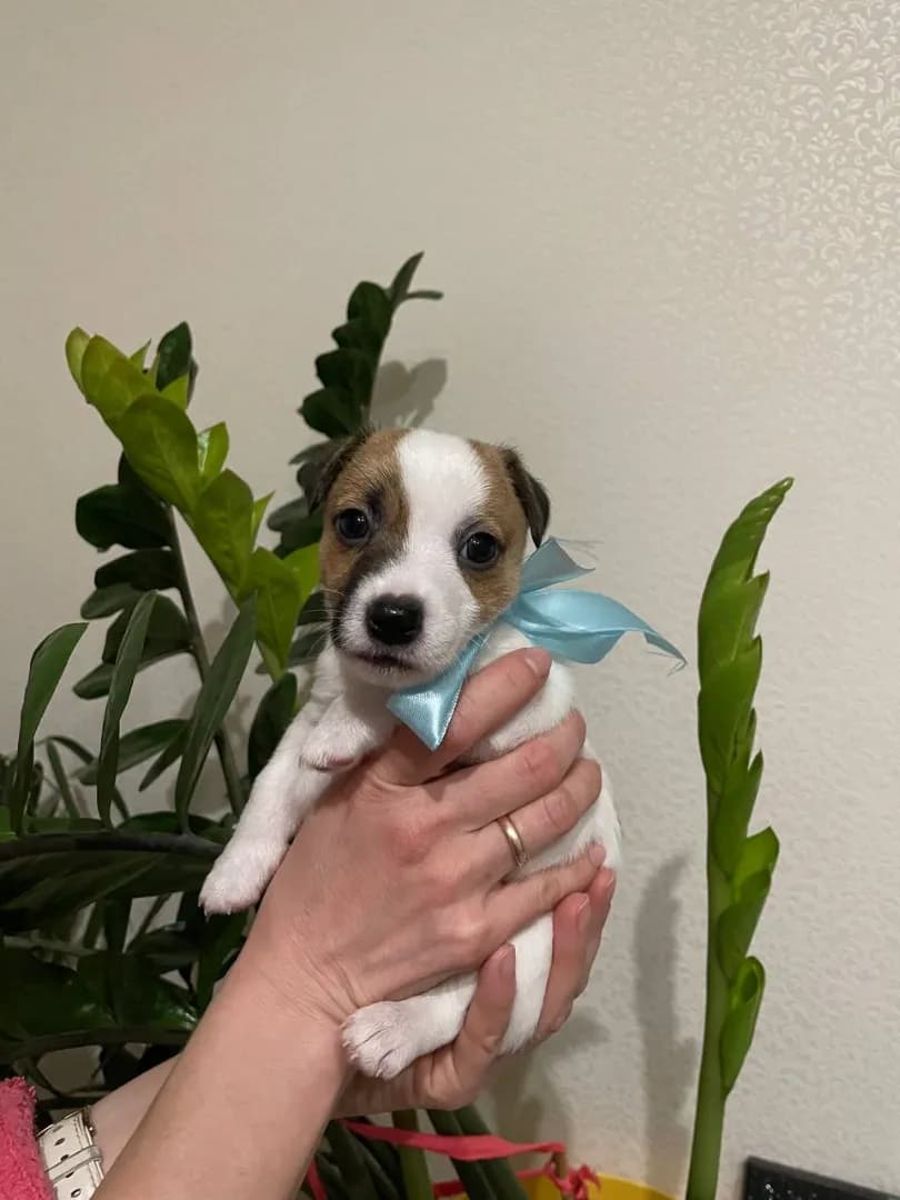 carousel-image-mobile-4