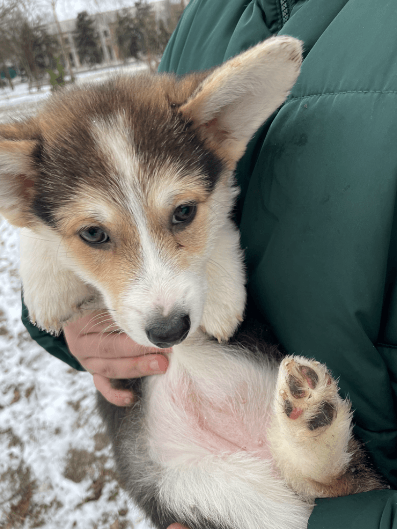 carousel-image-mobile-1