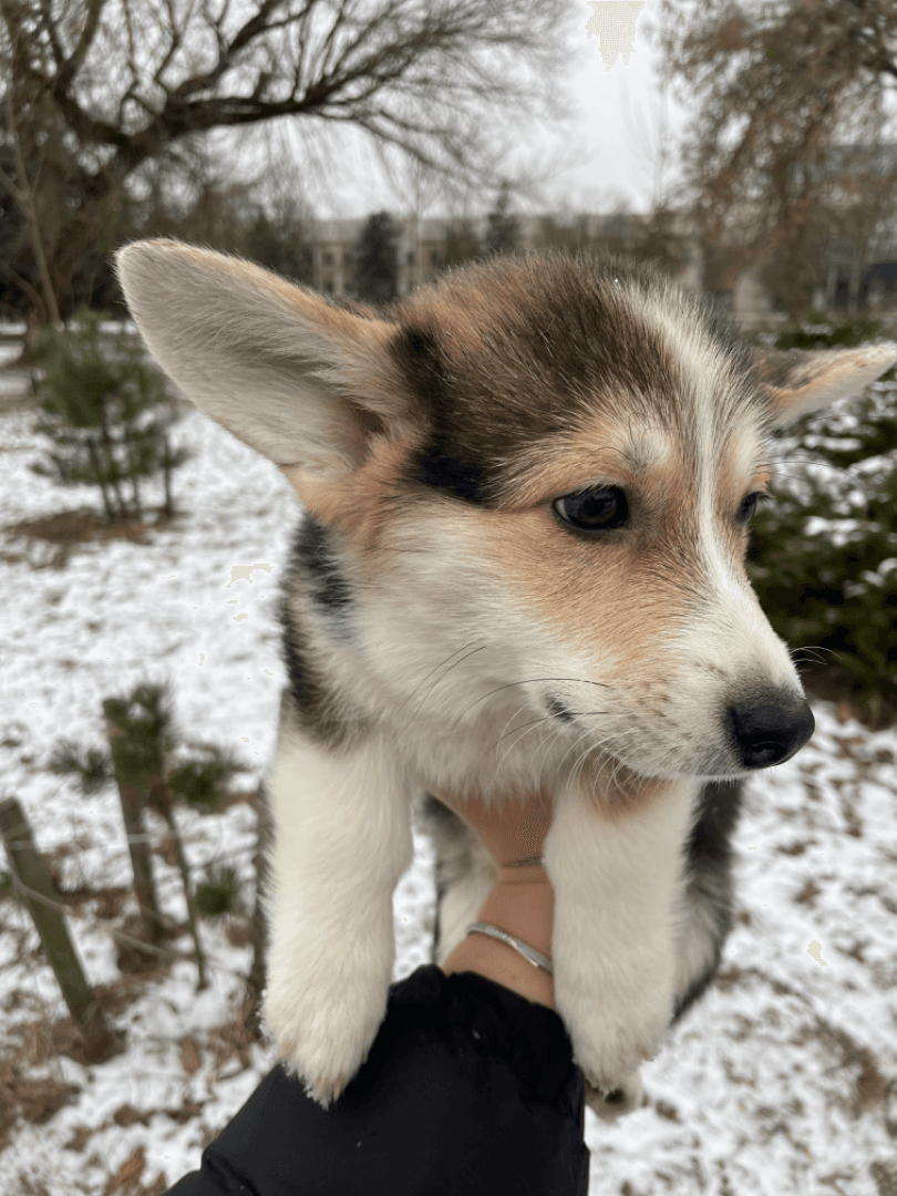 carousel-image-mobile-2