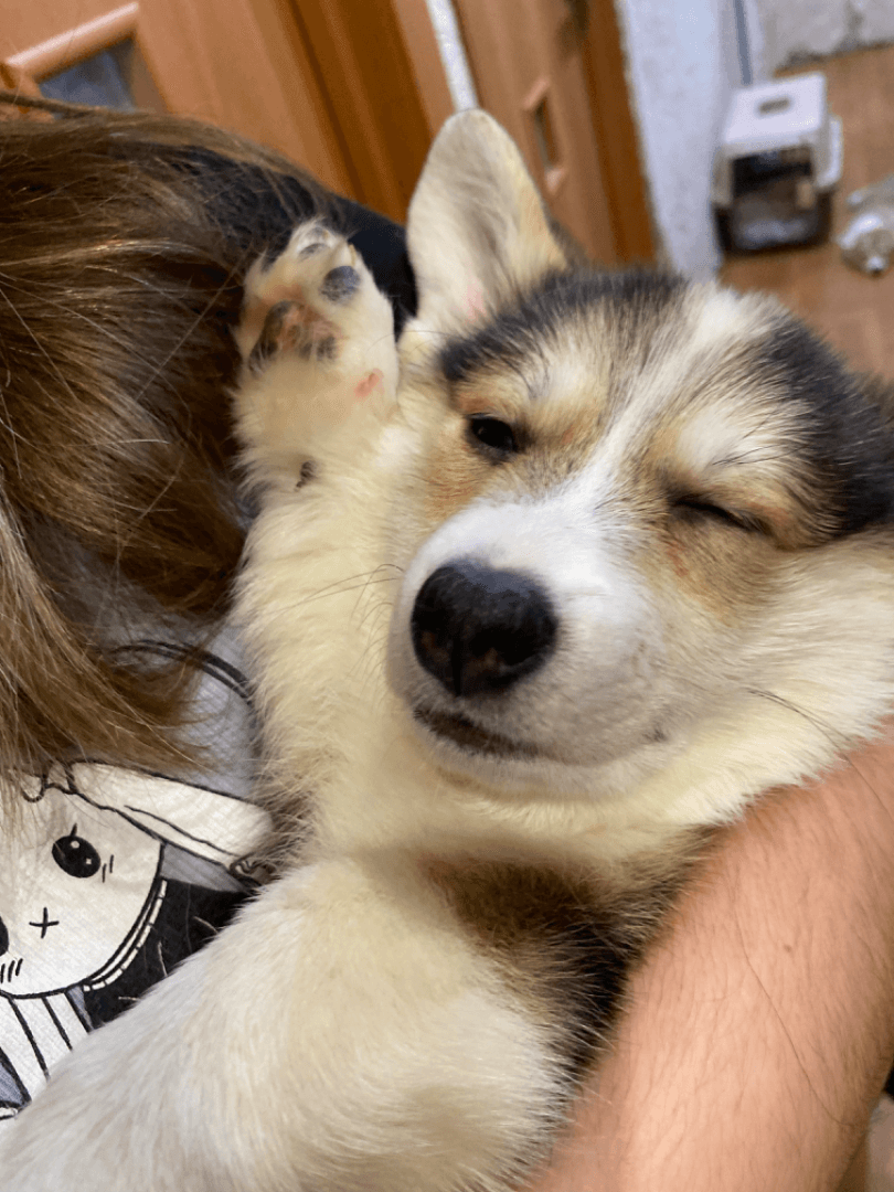 carousel-image-mobile-3