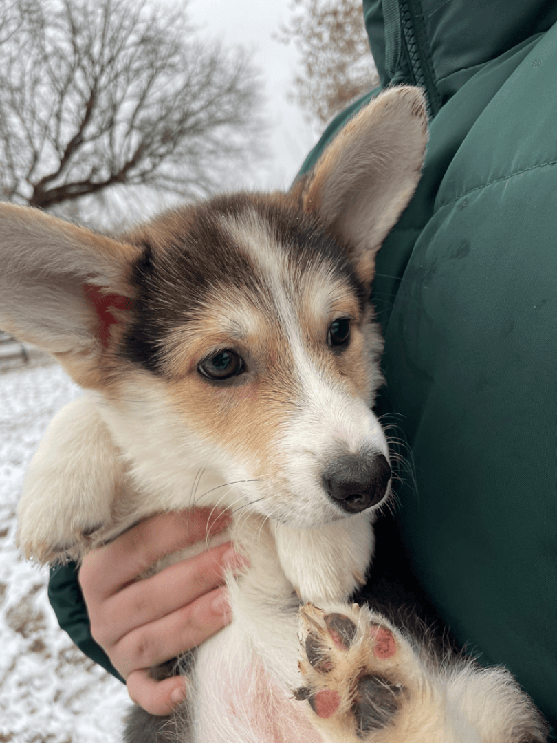 carousel-image-mobile-4