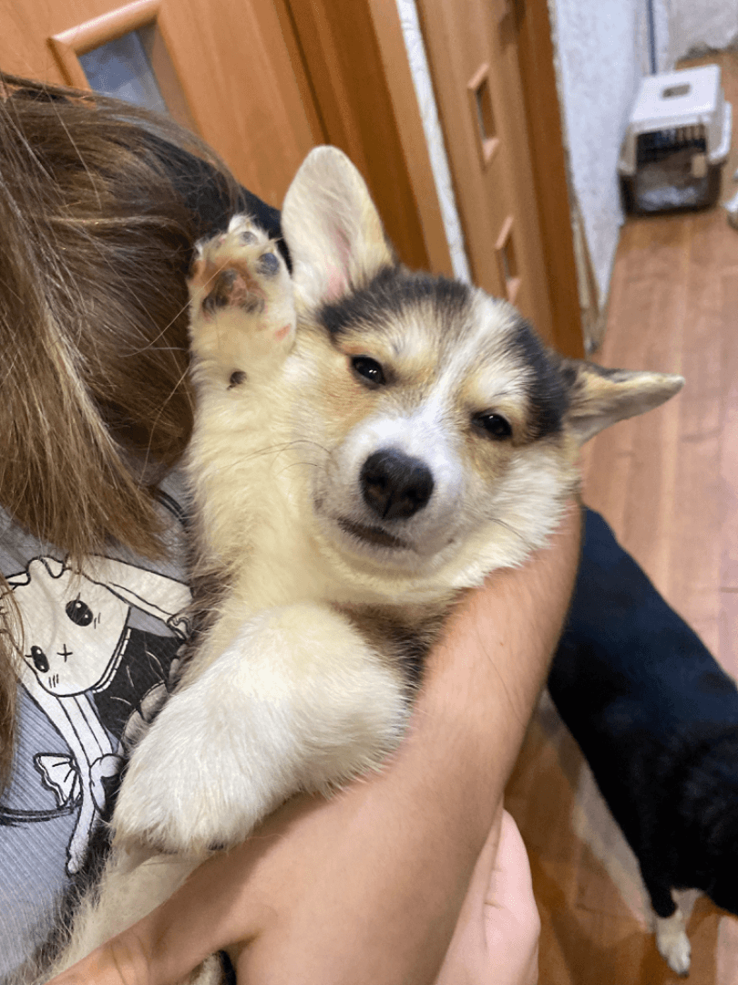 carousel-image-mobile-5