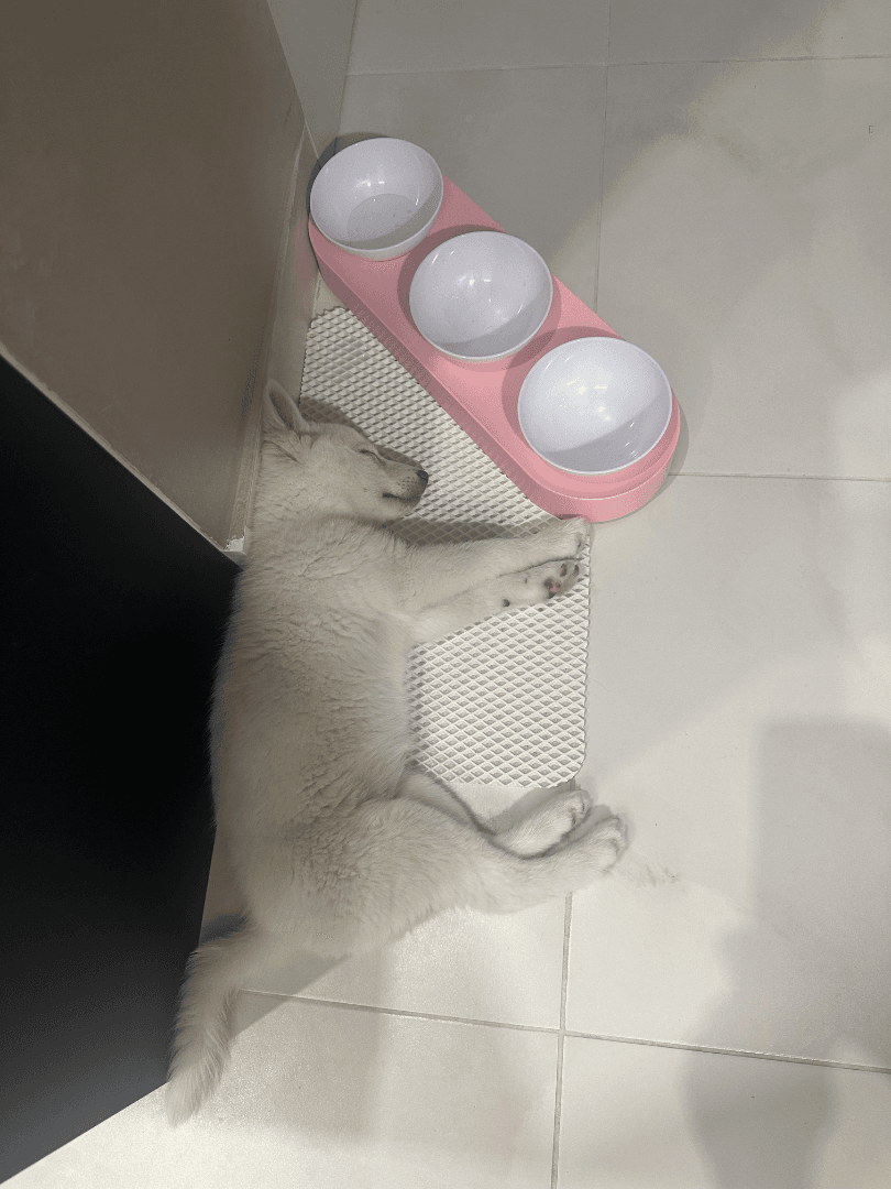 carousel-image-mobile-1