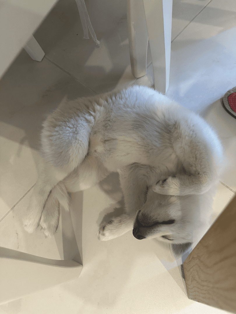 carousel-image-mobile-2