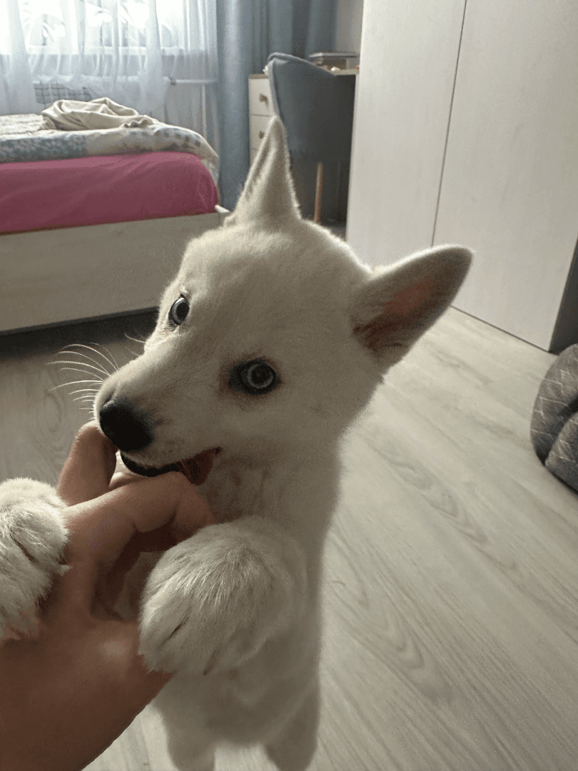 carousel-image-mobile-3