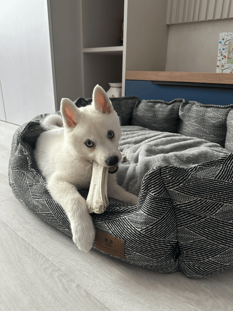 carousel-image-mobile-4