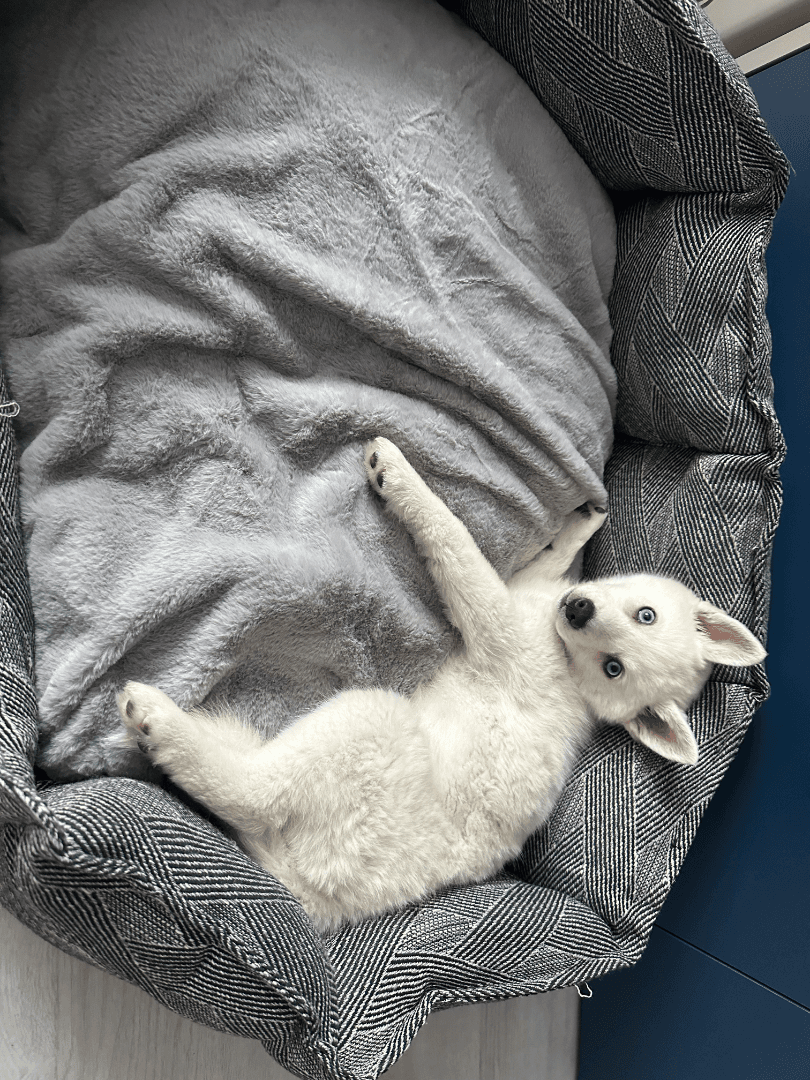 carousel-image-mobile-5