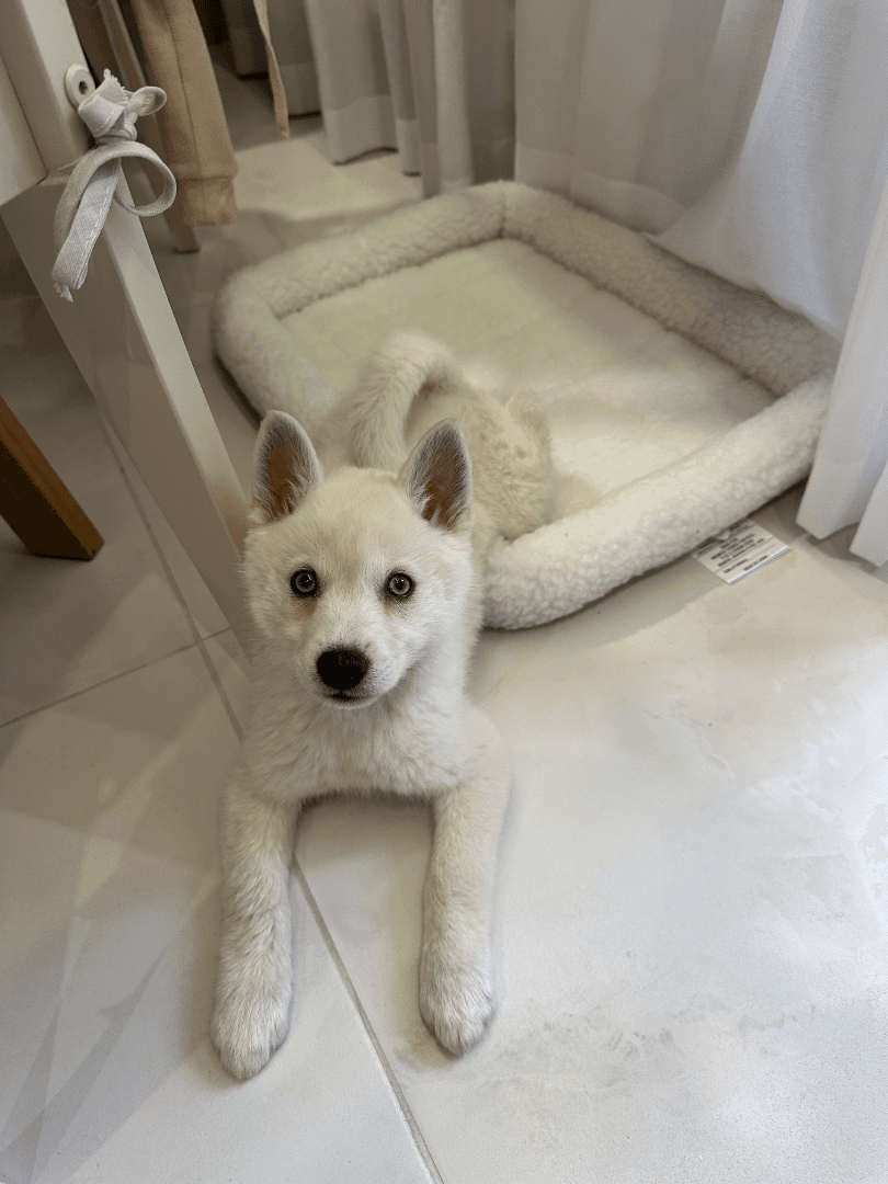 carousel-image-mobile-6