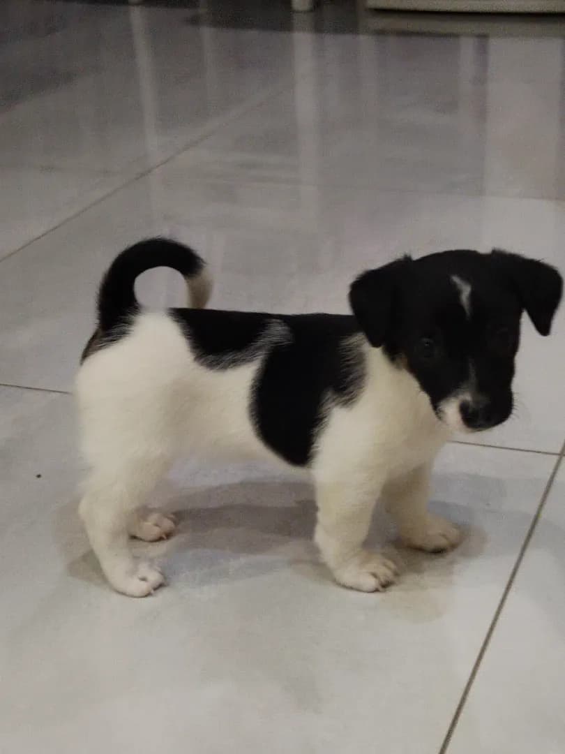 carousel-image-mobile-1