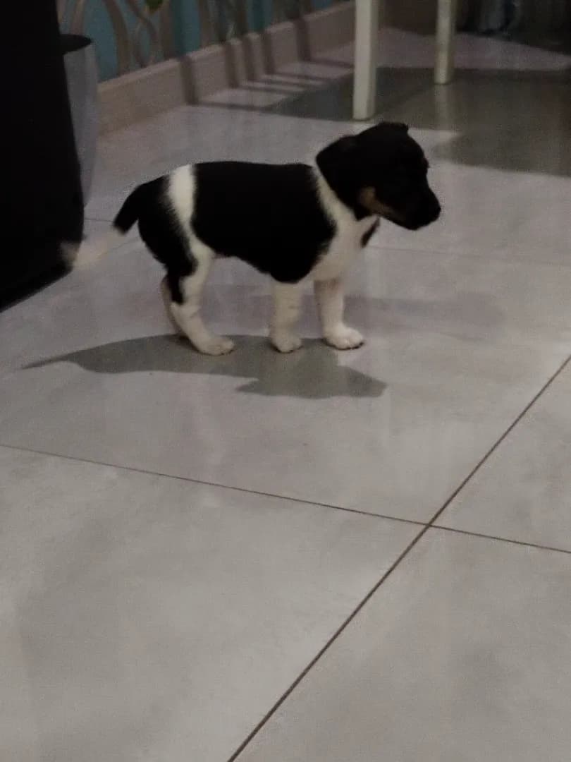 carousel-image-mobile-2