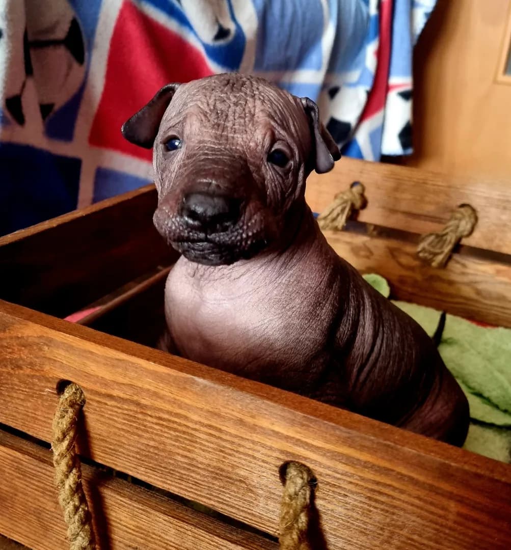 carousel-image-mobile-1