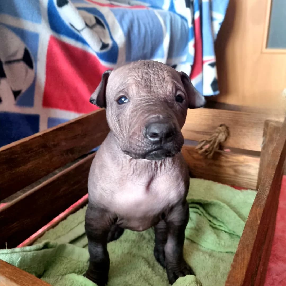 carousel-image-mobile-2