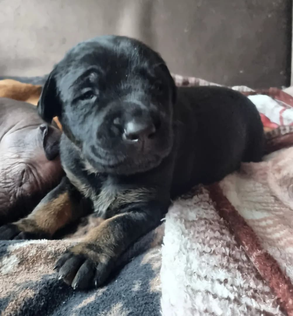 carousel-image-mobile-3