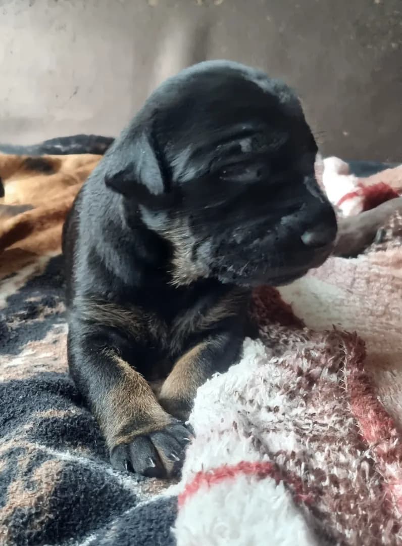 carousel-image-mobile-4