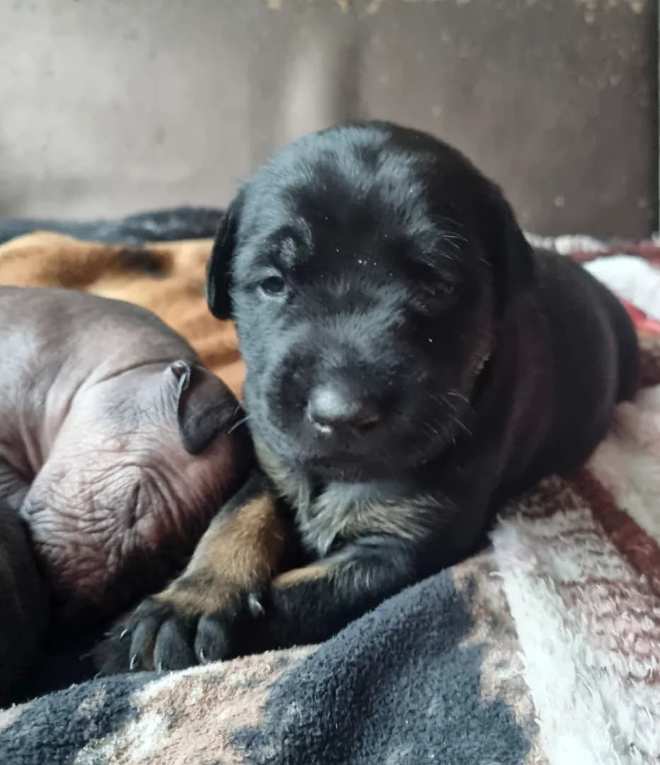 carousel-image-mobile-5