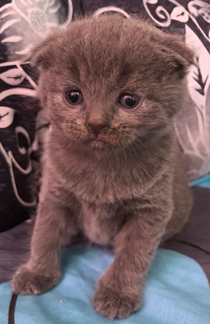 carousel-image-mobile-1