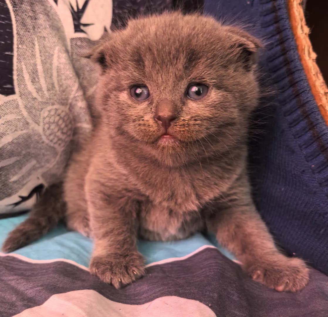 carousel-image-mobile-2