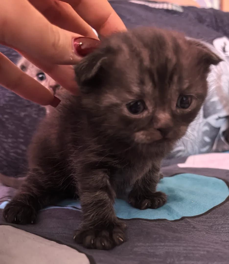 carousel-image-mobile-3