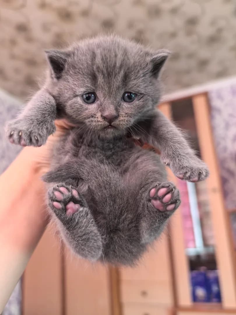 carousel-image-mobile-4