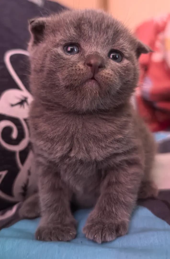 carousel-image-mobile-5