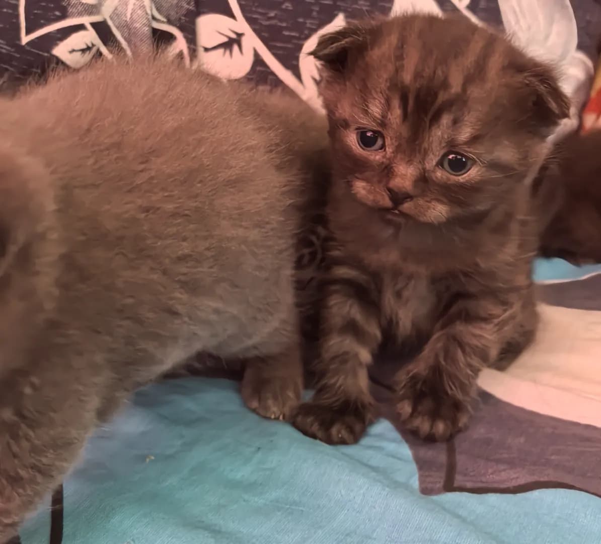 carousel-image-mobile-7