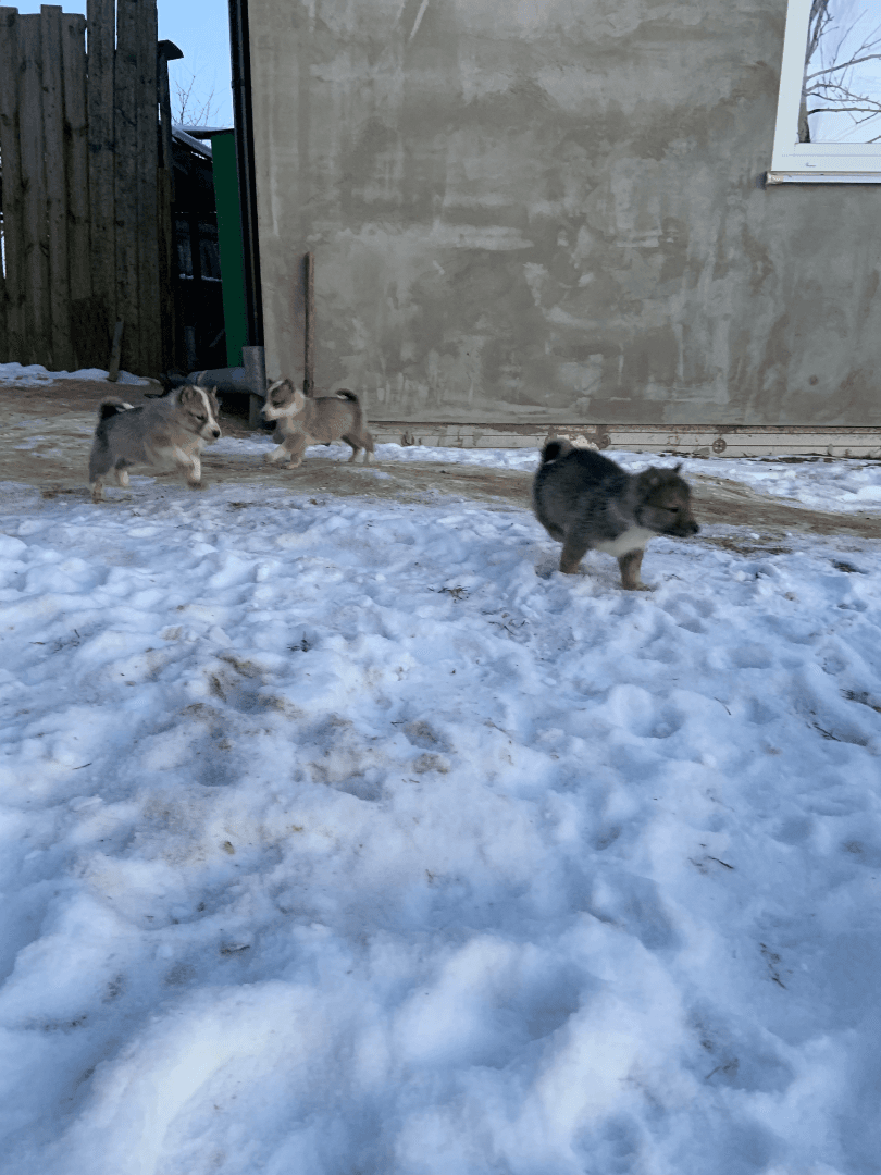 carousel-image-mobile-1