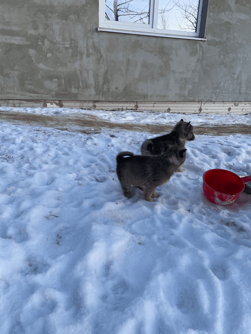 carousel-image-mobile-2